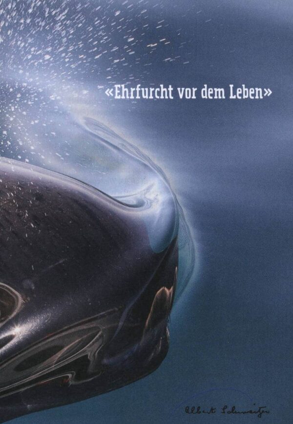 Ehrfurcht vor dem Leben