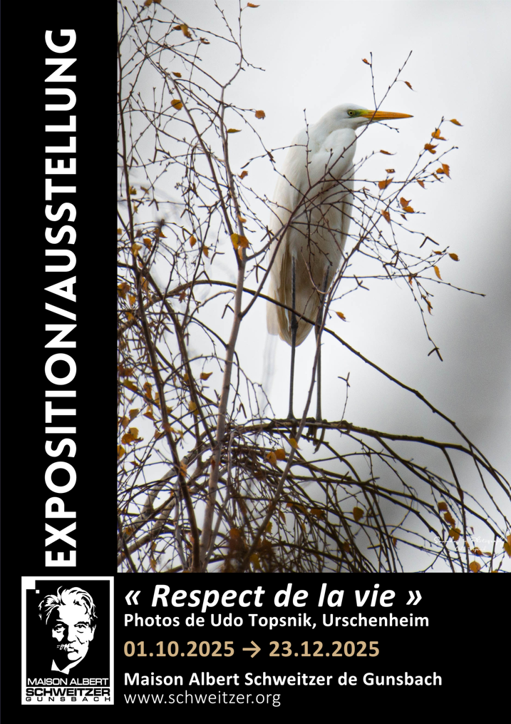 Exposition : le respect de la vie 